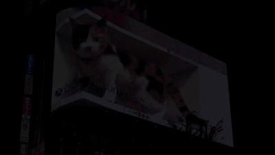 3D billboard Japan