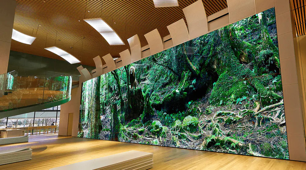 A comprehensive guide to 4K LED displays